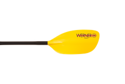 Werner Amigo