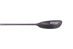 Werner Ovation